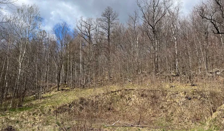 Działka budowlana Kowary, ul. Pensjonatowa