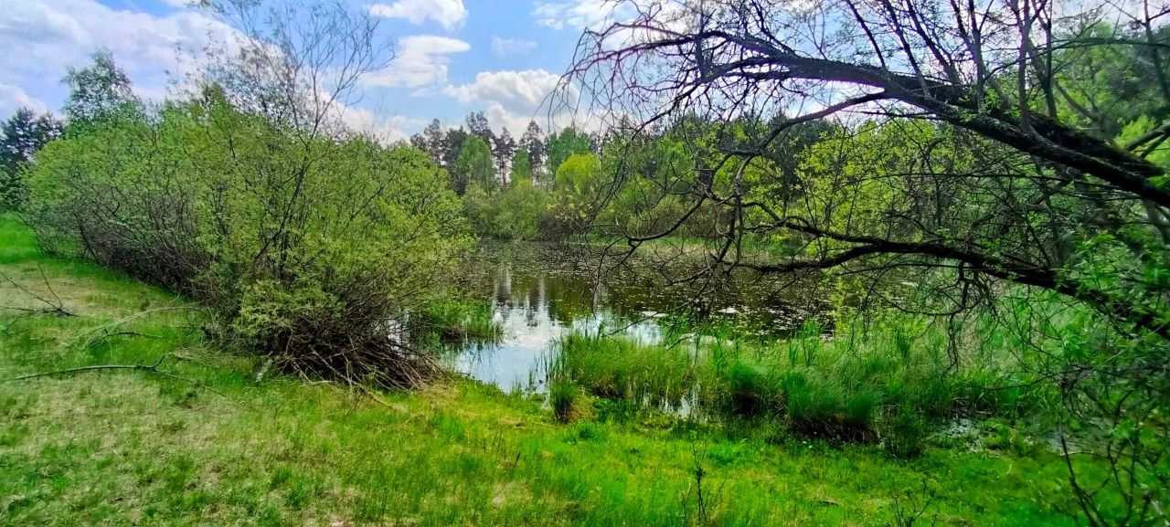 Działka siedliskowa Czarna Woda Lubiki. Zdjęcie 6