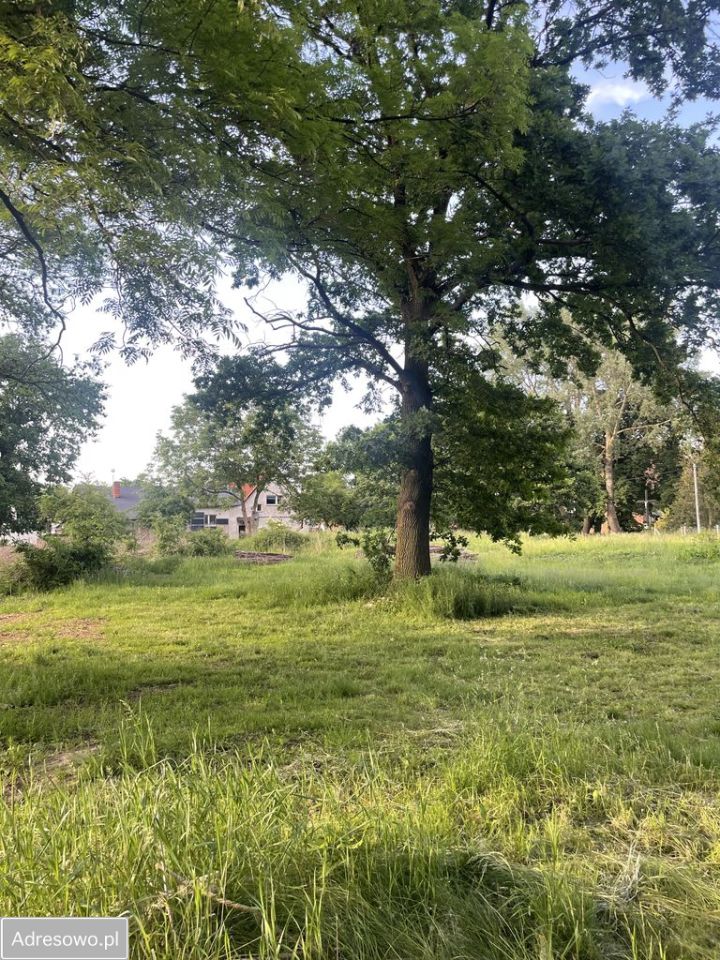 Działka budowlana Steblewo. Zdjęcie 3