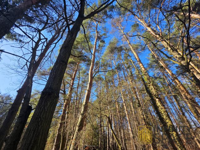 Działka budowlana Jeziórko Ustanówek. Zdjęcie 8