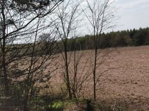 Działka rolna Łomy. Zdjęcie 1