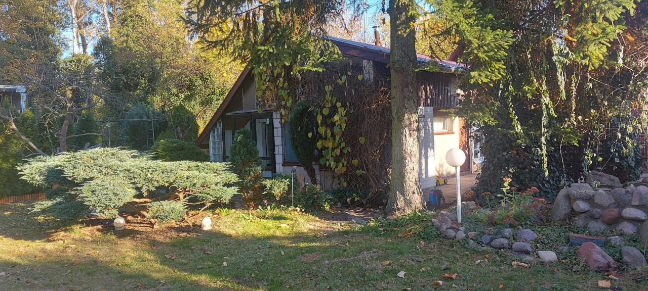 Działka rod Koninko. Zdjęcie 4