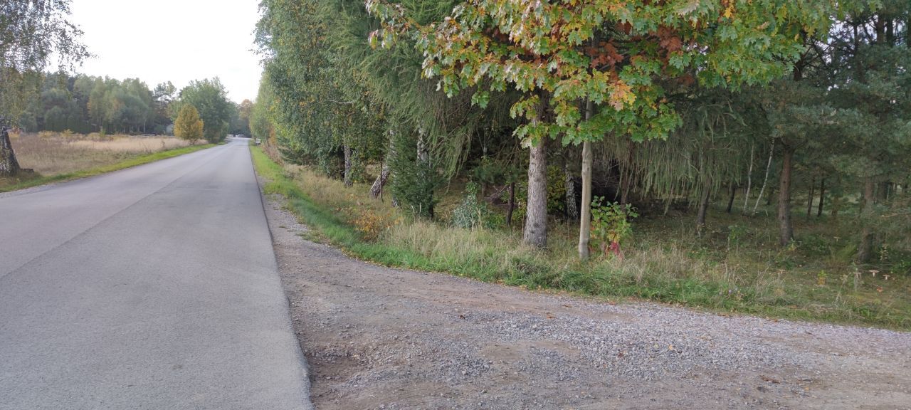 Działka budowlana Lubiaszów Stary Lubiaszów, ul. Borówkowa