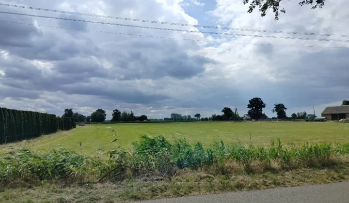 Działka rolna Głuchowo, ul. Lemierzycka