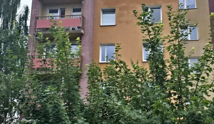 Mieszkanie 3-pokojowe Szprotawa, ul. Konopnickiej