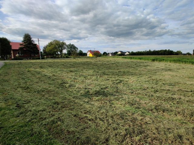 Działka rolno-budowlana Głuchów. Zdjęcie 1