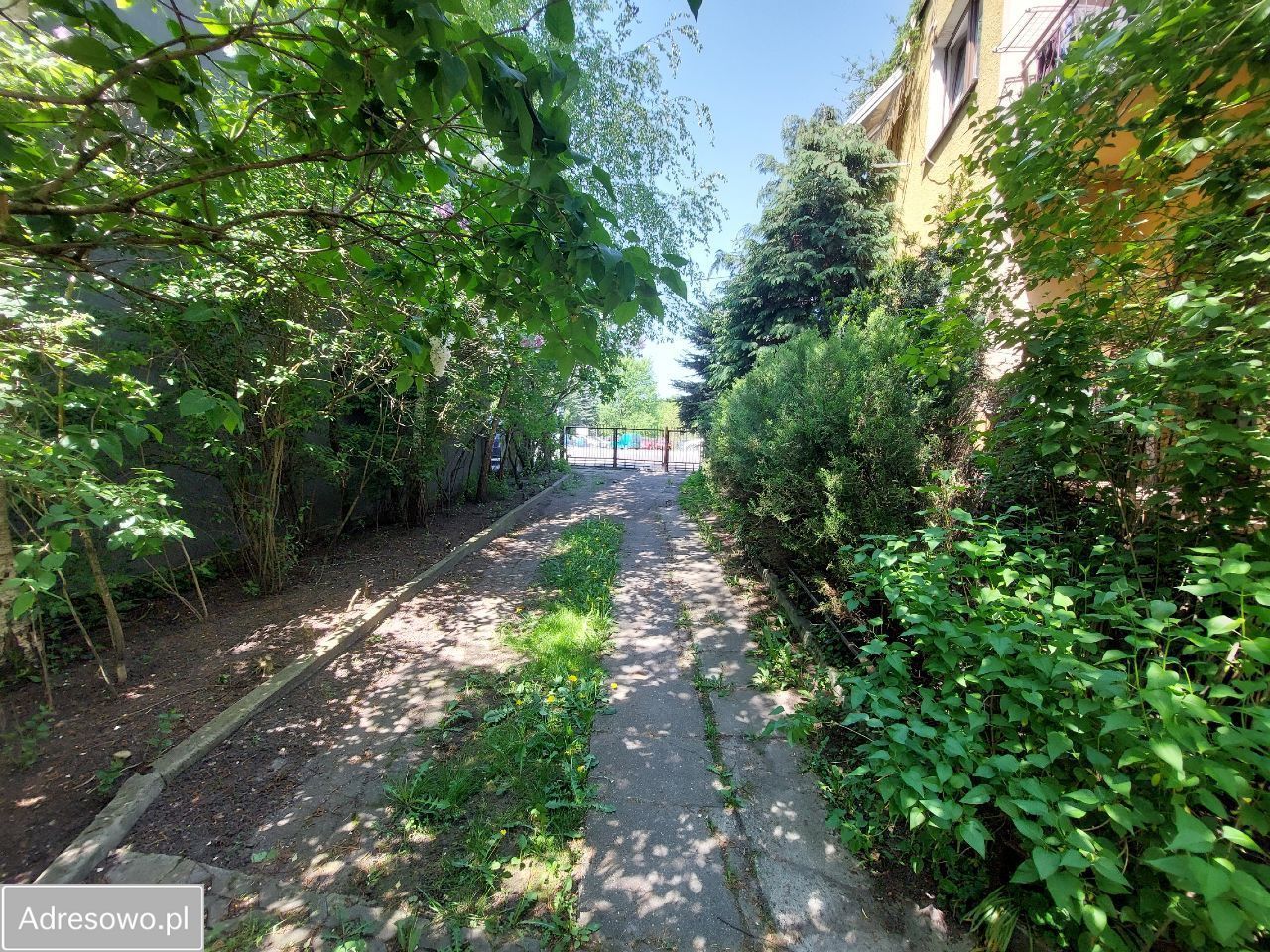 dom szeregowy, 6 pokoi Parczew, ul. Warszawska. Zdjęcie 3