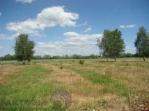 Działka budowlana Stargard. Zdjęcie 4