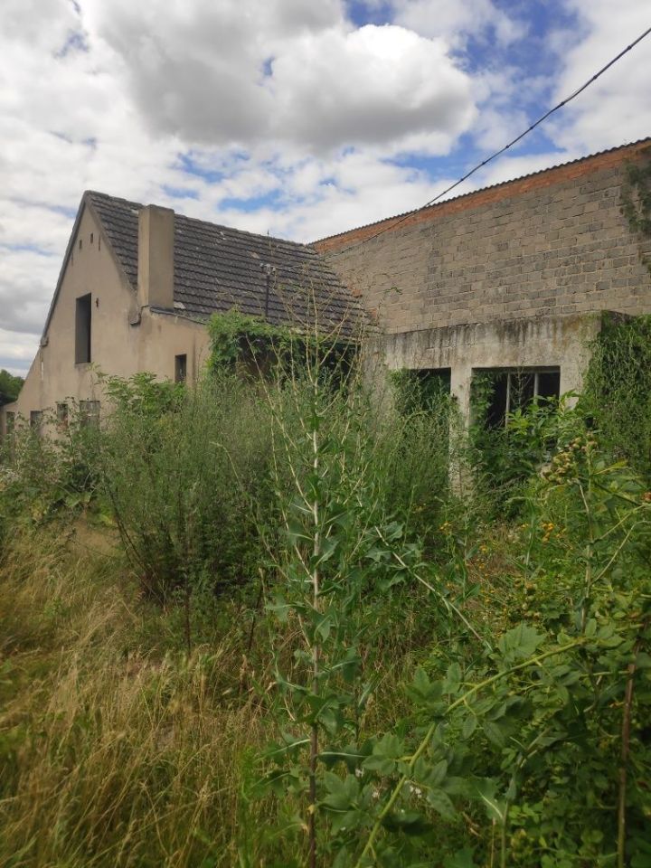 Działka inwestycyjna Dębno, ul. Powstańców Wlkp.. Zdjęcie 2