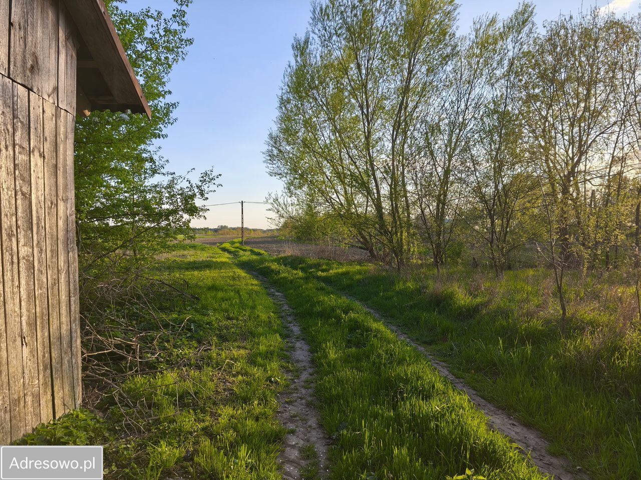 Działka rolno-budowlana Trzciana
