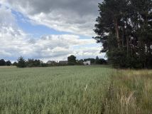 Działka rolno-budowlana Jeziorsko. Zdjęcie 3