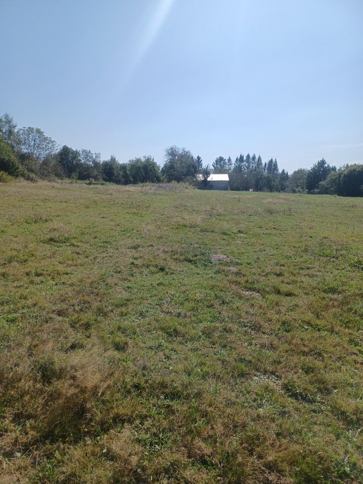 Działka rolno-budowlana Korczyna. Zdjęcie 8