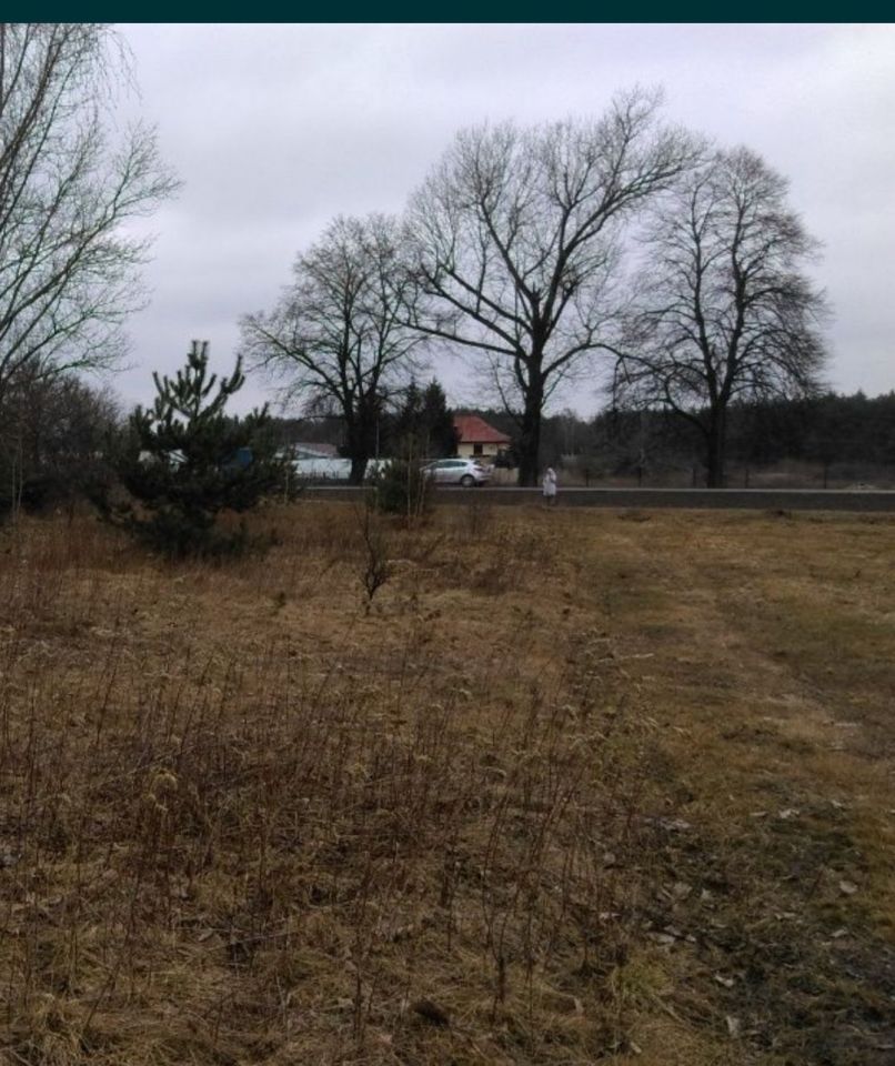 Działka inwestycyjna Gręzów. Zdjęcie 5