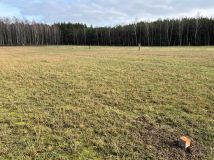 Działka budowlana Piła. Zdjęcie 1