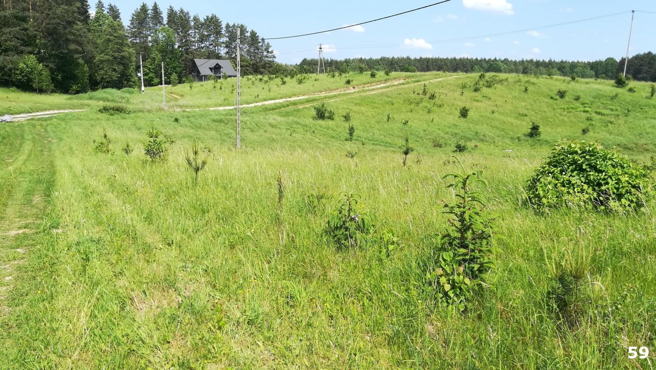 Działka budowlana Kaborno. Zdjęcie 6