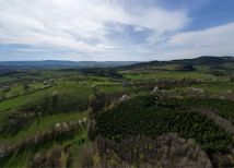 Działka leśna Sokolica. Zdjęcie 3