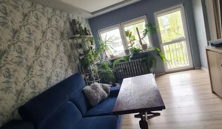 Mieszkanie 2-pokojowe Łódź Teofilów, ul. Traktorowa