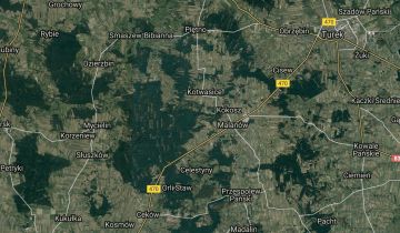 Działka leśna Zygmuntówek