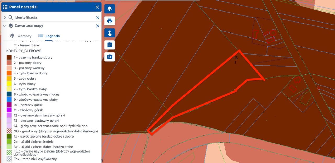 Działka rolno-budowlana Falniów. Zdjęcie 2