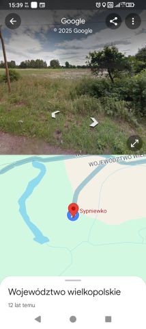 Działka rolno-budowlana Sypniewko. Zdjęcie 1