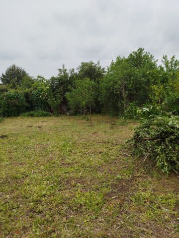Działka rod Sosnowiec Klimontów. Zdjęcie 1