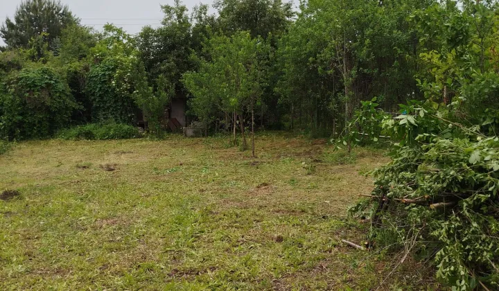 Działka rod Sosnowiec Klimontów