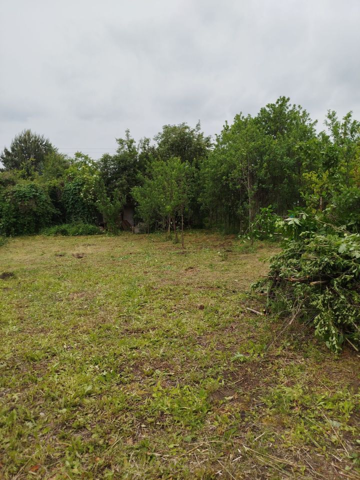 Działka rod Sosnowiec Klimontów