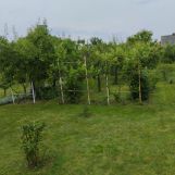 Działka rod Pleszew, ul. Wierzbowa. Zdjęcie 4