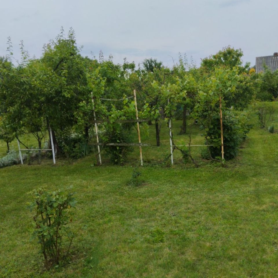 Działka rod Pleszew, ul. Wierzbowa. Zdjęcie 5