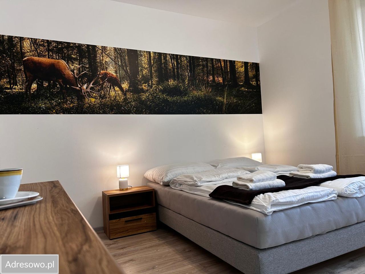 Hotel/pensjonat Duszniki-Zdrój, ul. Fryderyka Chopina. Zdjęcie 8