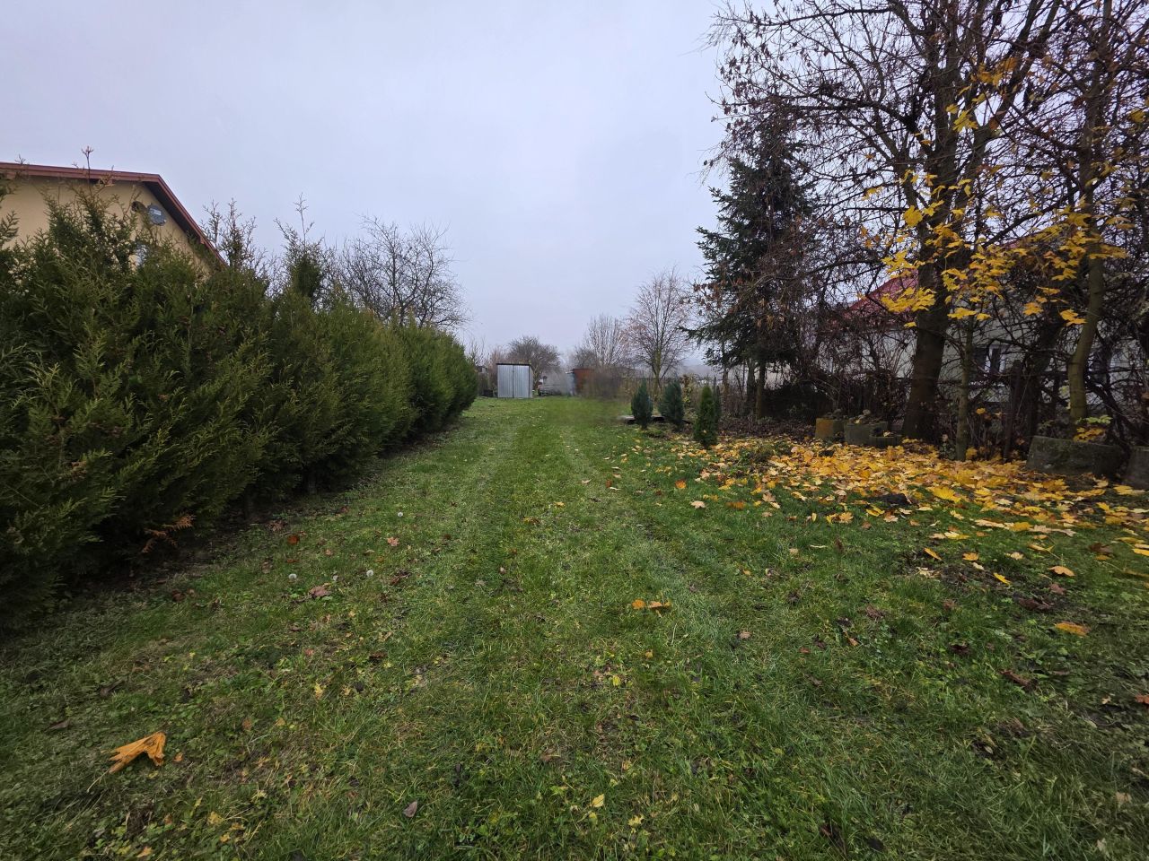 Działka rolna Kamieńczyce. Zdjęcie 2