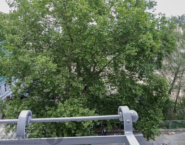 Mieszkanie 4-pokojowe Szczecin Centrum, ul. Edmunda Bałuki. Zdjęcie 18