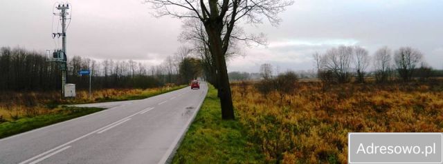 Działka rolna Krępsko. Zdjęcie 1