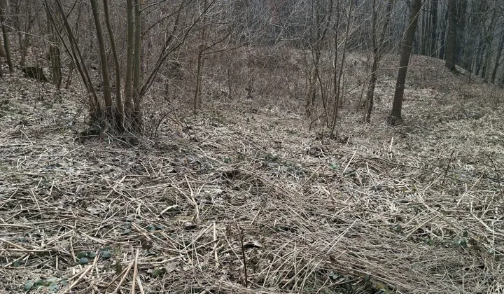 Działka rolna Chmielnik