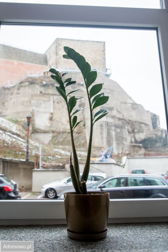 Mieszkanie 3-pokojowe Kłodzko, pl. Bolesława Chrobrego. Zdjęcie 13