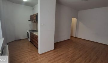 Mieszkanie 1-pokojowe Kalisz Centrum, ul. Złota