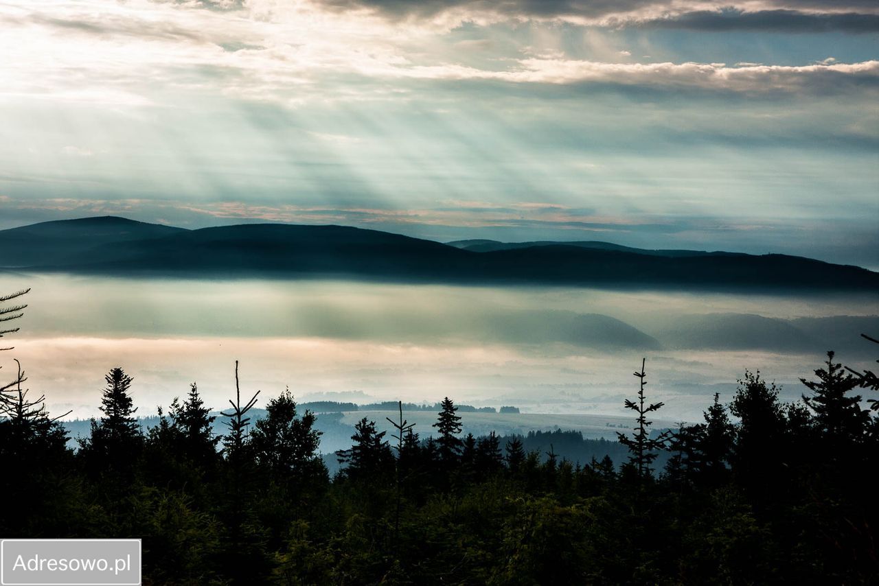 dom wolnostojący, 2 pokoje Gniewoszów. Zdjęcie 10