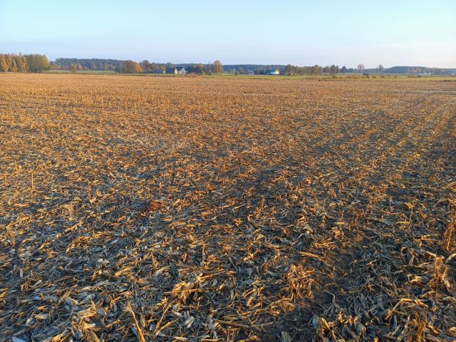 Działka rolna Suchy Grunt. Zdjęcie 1