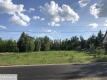 Działka rolno-budowlana Ciepielów-Kolonia. Zdjęcie 3