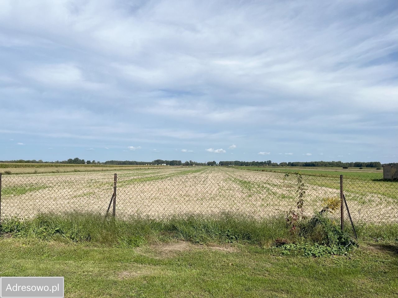 siedlisko, 6 pokoi Strzyżew Strzyżew-Parcela. Zdjęcie 12