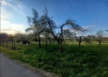 Działka budowlana Węgrzce. Zdjęcie 4