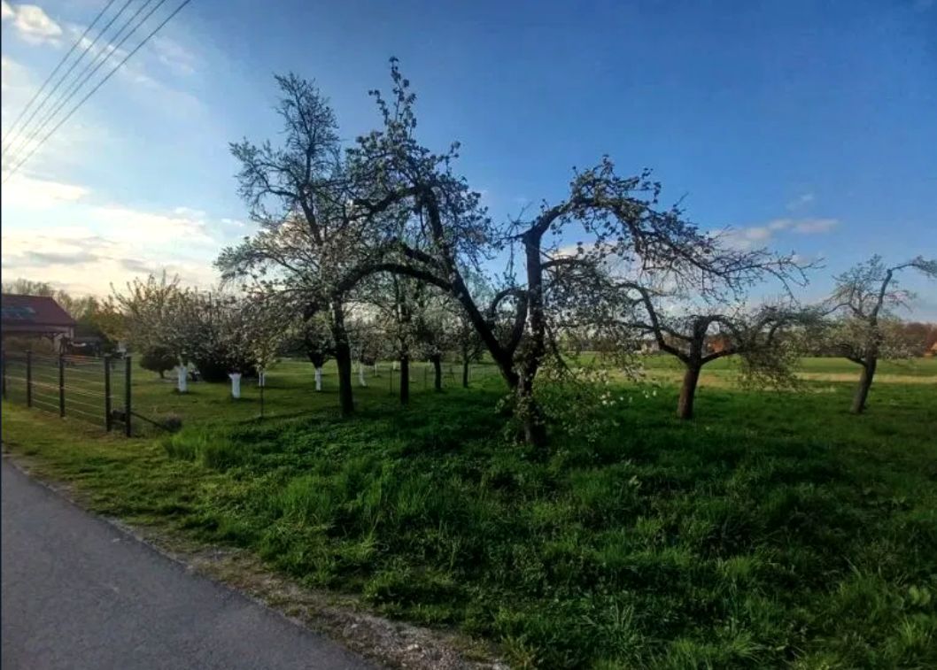 Działka budowlana Węgrzce. Zdjęcie 5