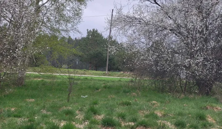 Działka siedliskowa Tomaryny