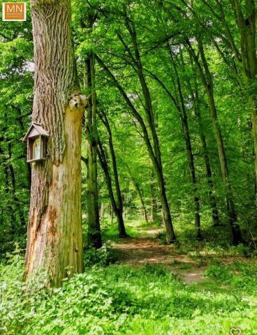 Działka budowlana Marszowice. Zdjęcie 12