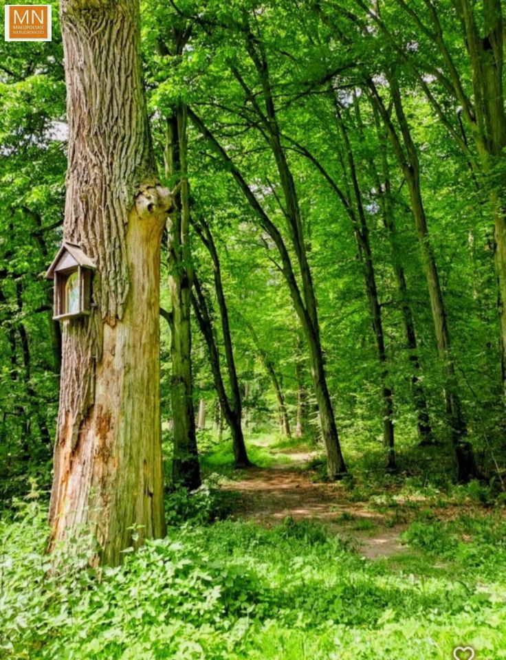 Działka budowlana Marszowice. Zdjęcie 12