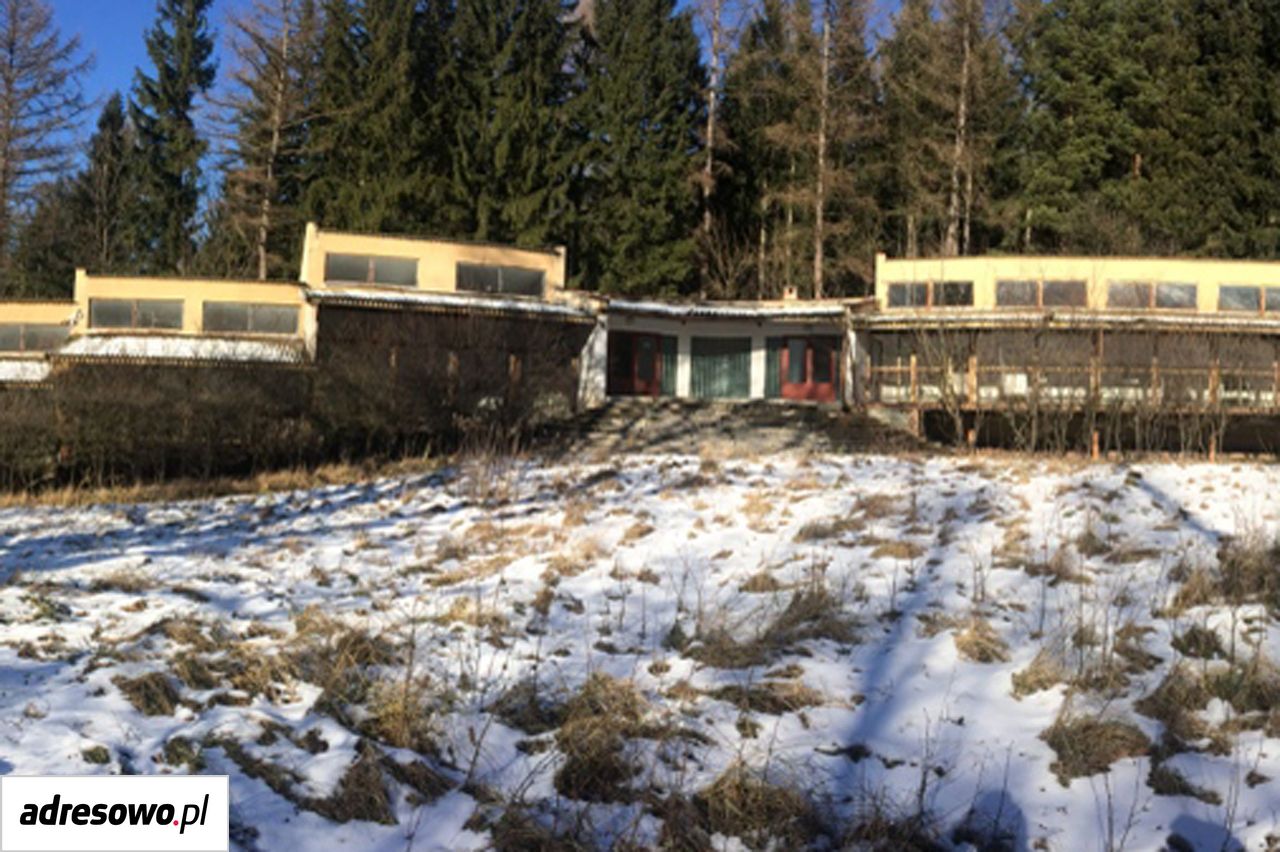 Działka budowlana Sosnówka, ul. Złoty Widok. Zdjęcie 3