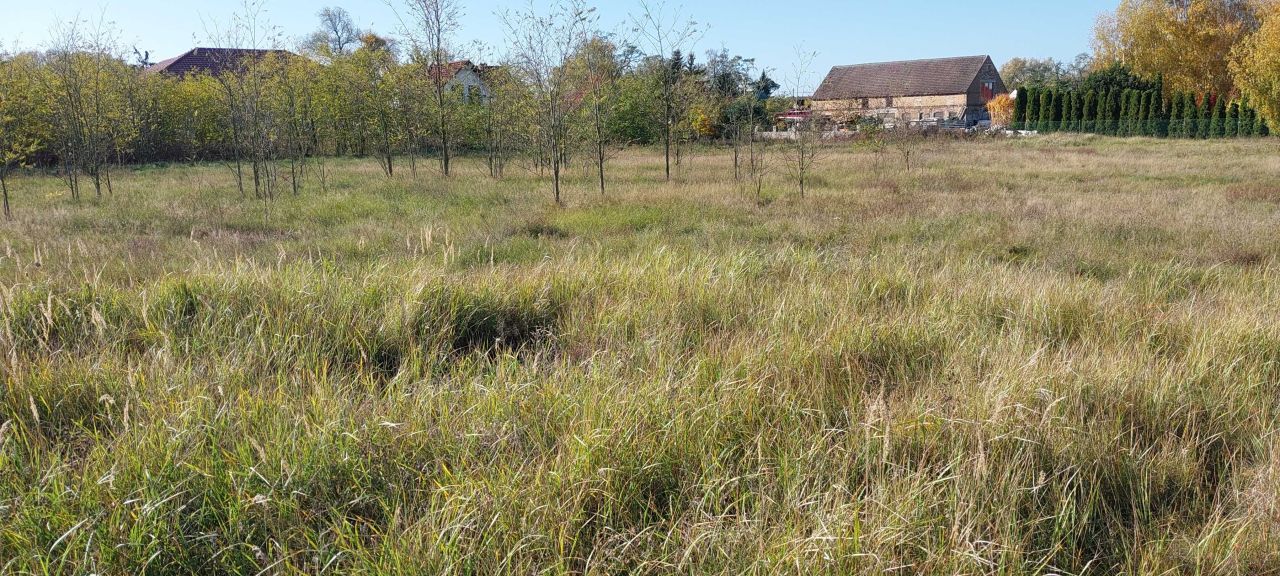 Działka budowlana Kostrzyn nad Odrą Szumiłowo. Zdjęcie 6