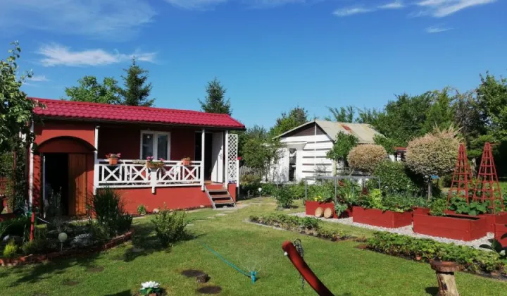 Działka rod Gdańsk Rębiechowo, ul. Nowatorów