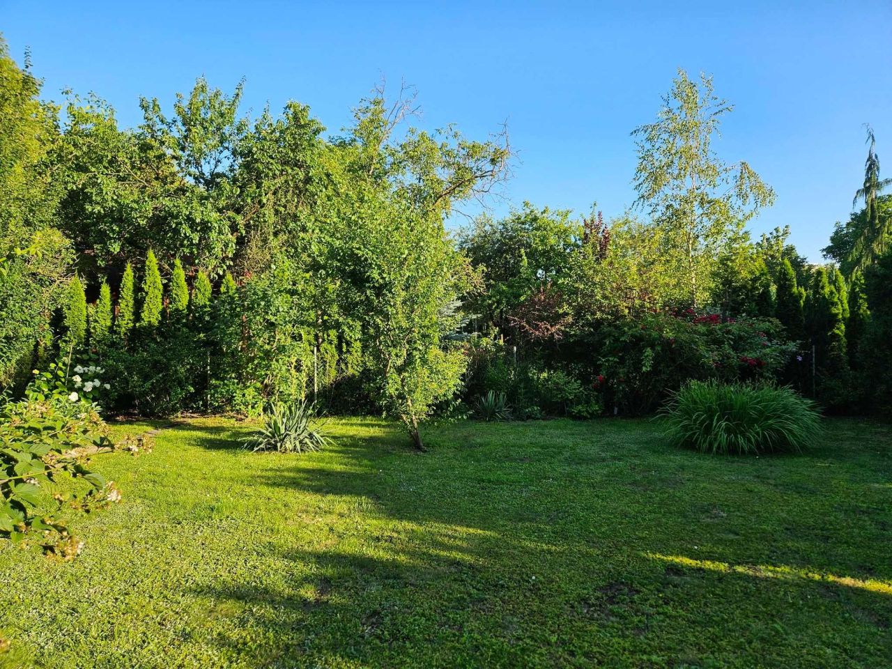 Działka rod Warszawa Mokotów. Zdjęcie 7