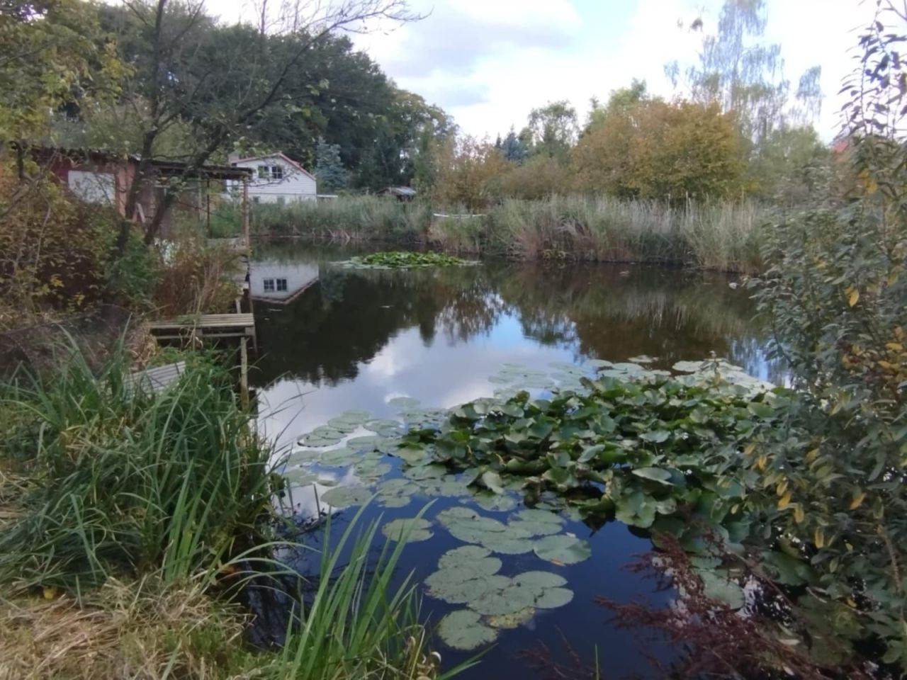 Działka rod Szczecin Warszewo. Zdjęcie 2